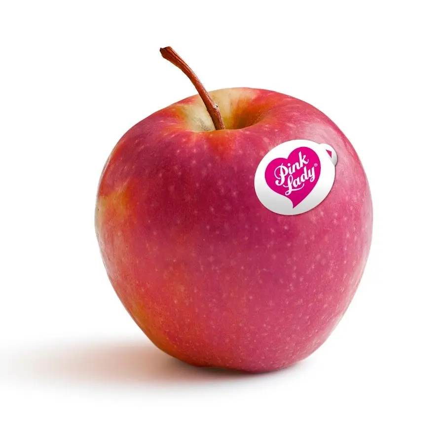 תפוח עץ פינק ליידי